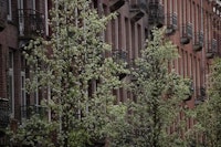 Real estate agent in Amsterdam Indische Buurt