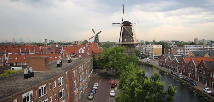 Schiedam