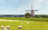 Makelaar in Nuenen