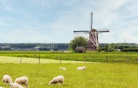 Nuenen