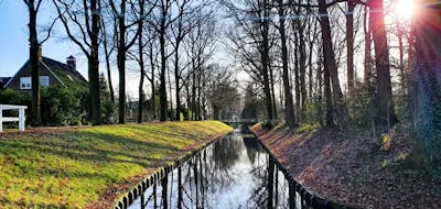 Makelaars in Wijchen