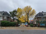 Makelaars in Malden