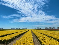 Zeewolde