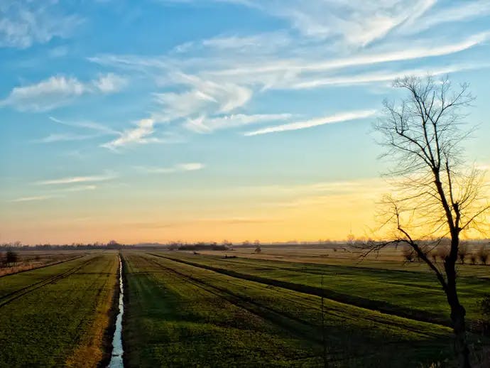 Makelaar in Hoogland