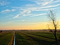 Hoogland
