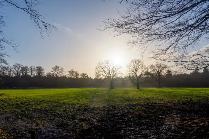 Makelaar in Zeist