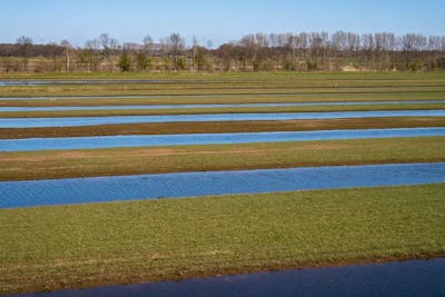 Makelaar in Benthuizen