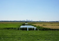 Bleiswijk