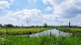 Makelaar in Heerhugowaard
