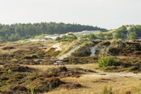 Schoorl