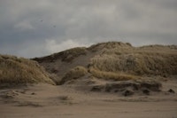Castricum