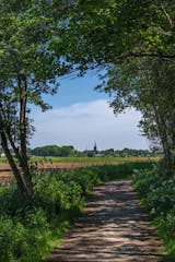 Makelaar in 't Harde