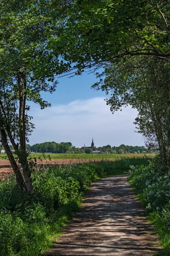 't Harde