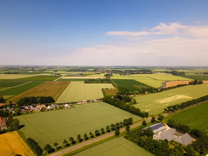 Den Hoorn