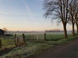 Makelaar in Deurne
