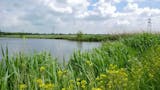 Makelaar in Nieuwerkerk aan den Ijssel