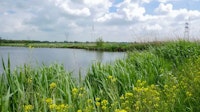Nieuwerkerk aan den IJssel