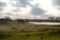 Hendrik-Ido-Ambacht