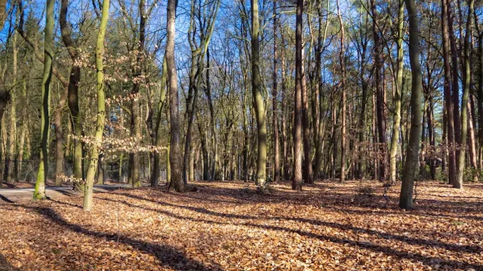Beekbergen