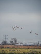 Makelaar in Oegstgeest
