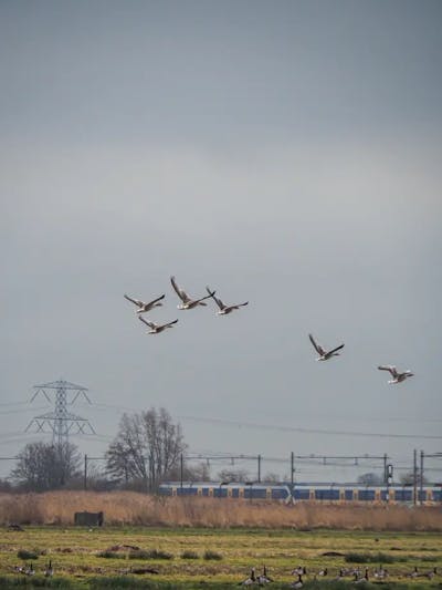 Makelaar in Oegstgeest