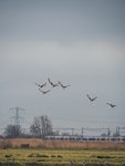 Oegstgeest