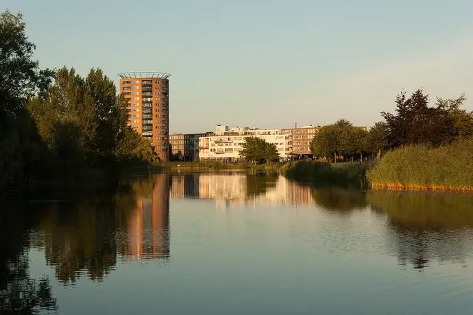Real estate agent in Amersfoort