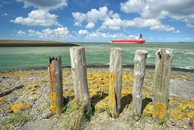 Makelaar in Terneuzen