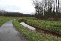 Makelaar in Breda Haagse Beemden