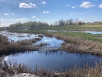 Makelaars in Groningen Beijum