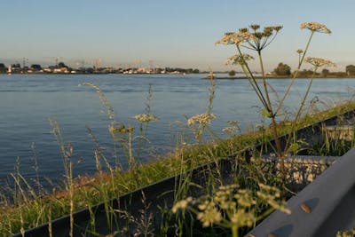 Makelaarsin Hardinxveld-Giessendam