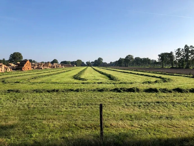 Staphorst