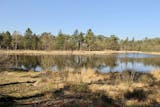 Makelaars in Waalre