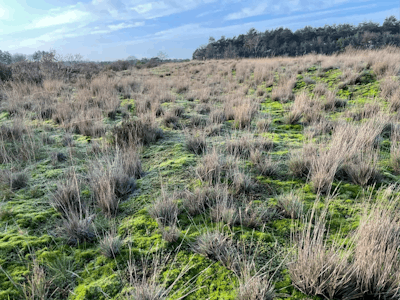 Makelaars in Oirschot