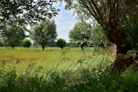 Teteringen