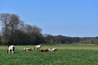 Etten-Leur