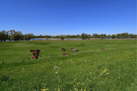 Sliedrecht