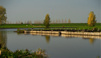 Rhoon