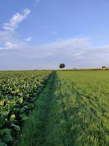 Makelaar in Voerendaal