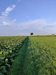 Voerendaal