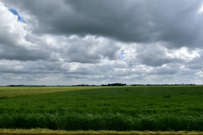 Makelaar in Nieuw-Vennep