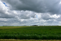 Nieuw-Vennep