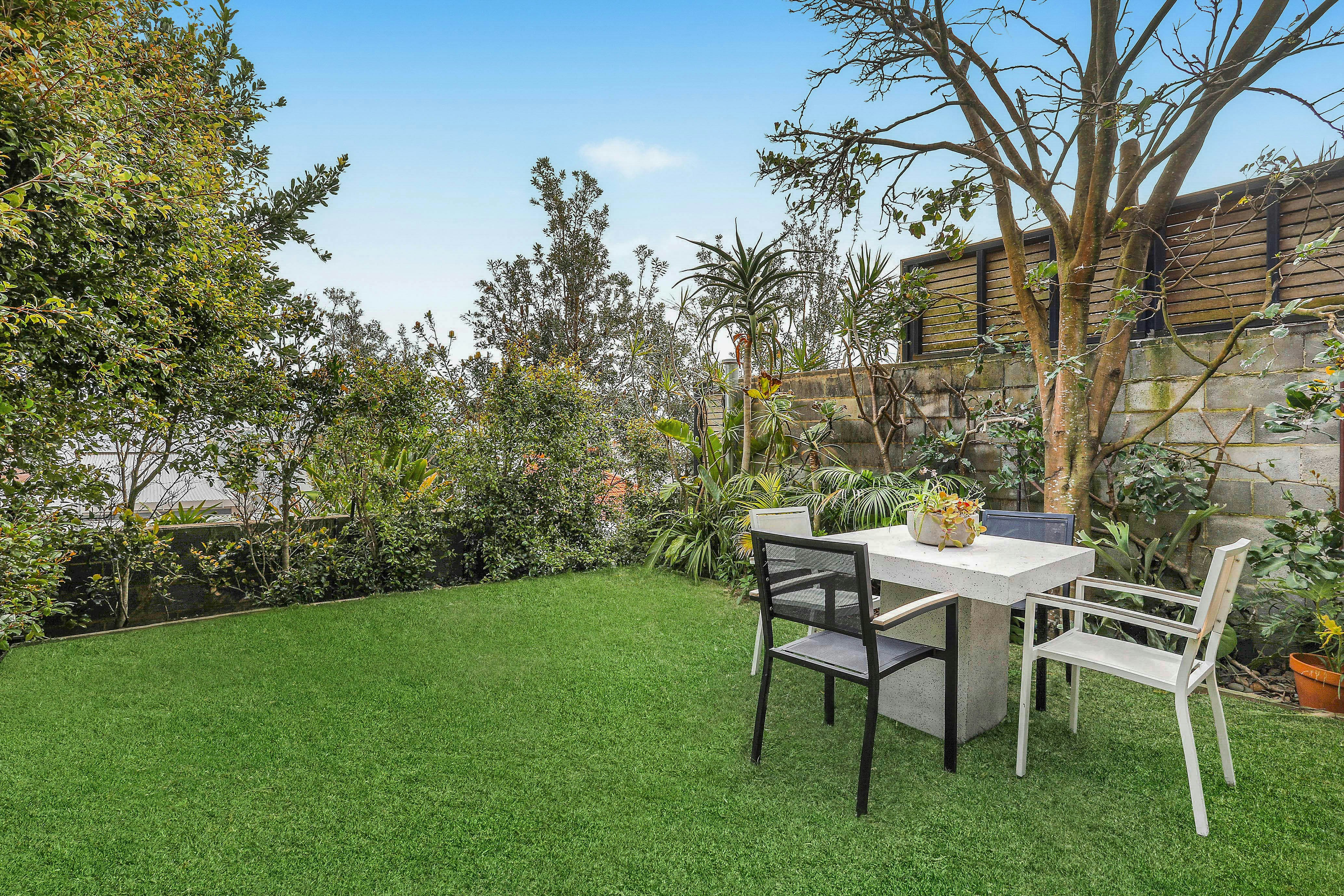 Image of backyard