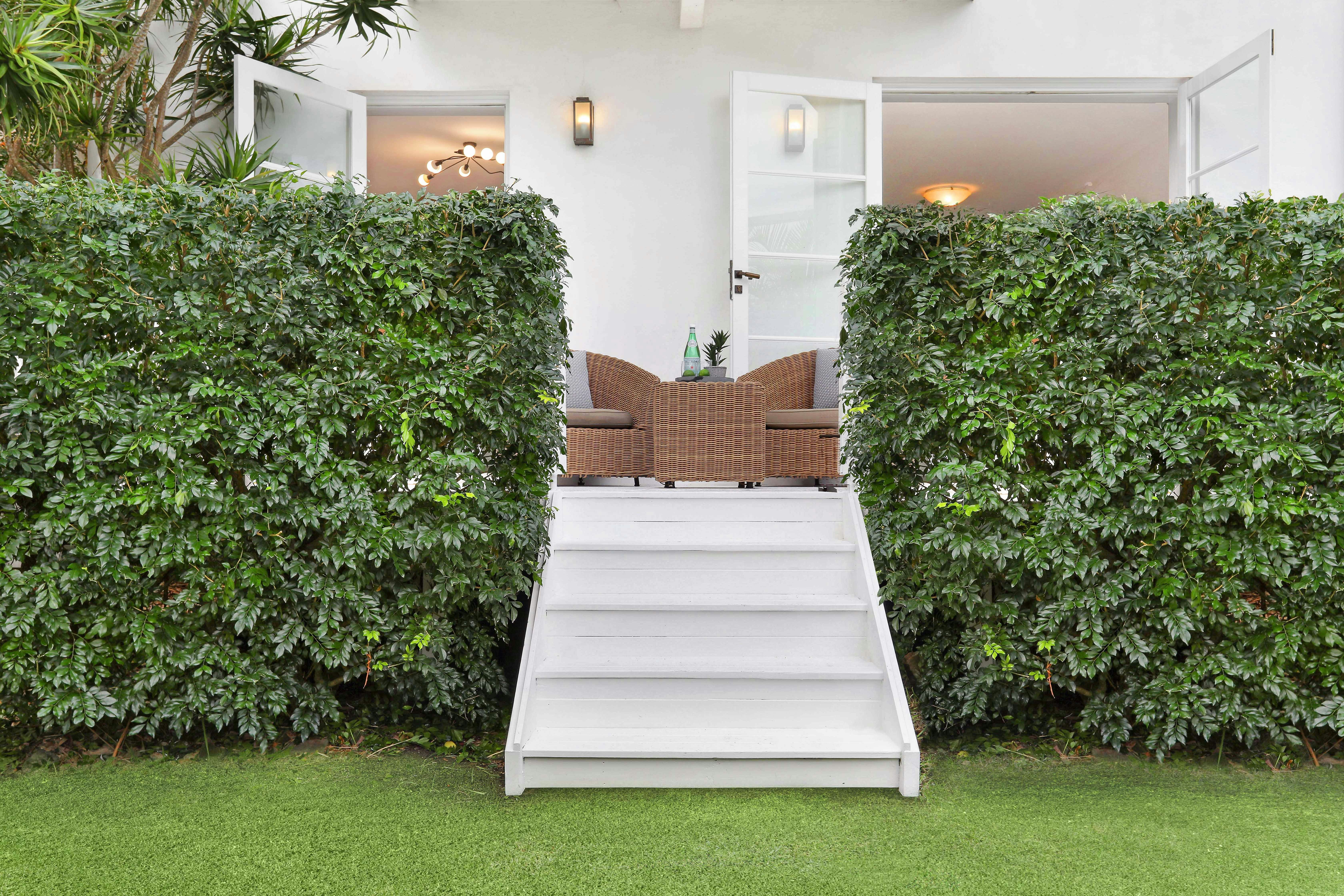 Image of hedge
