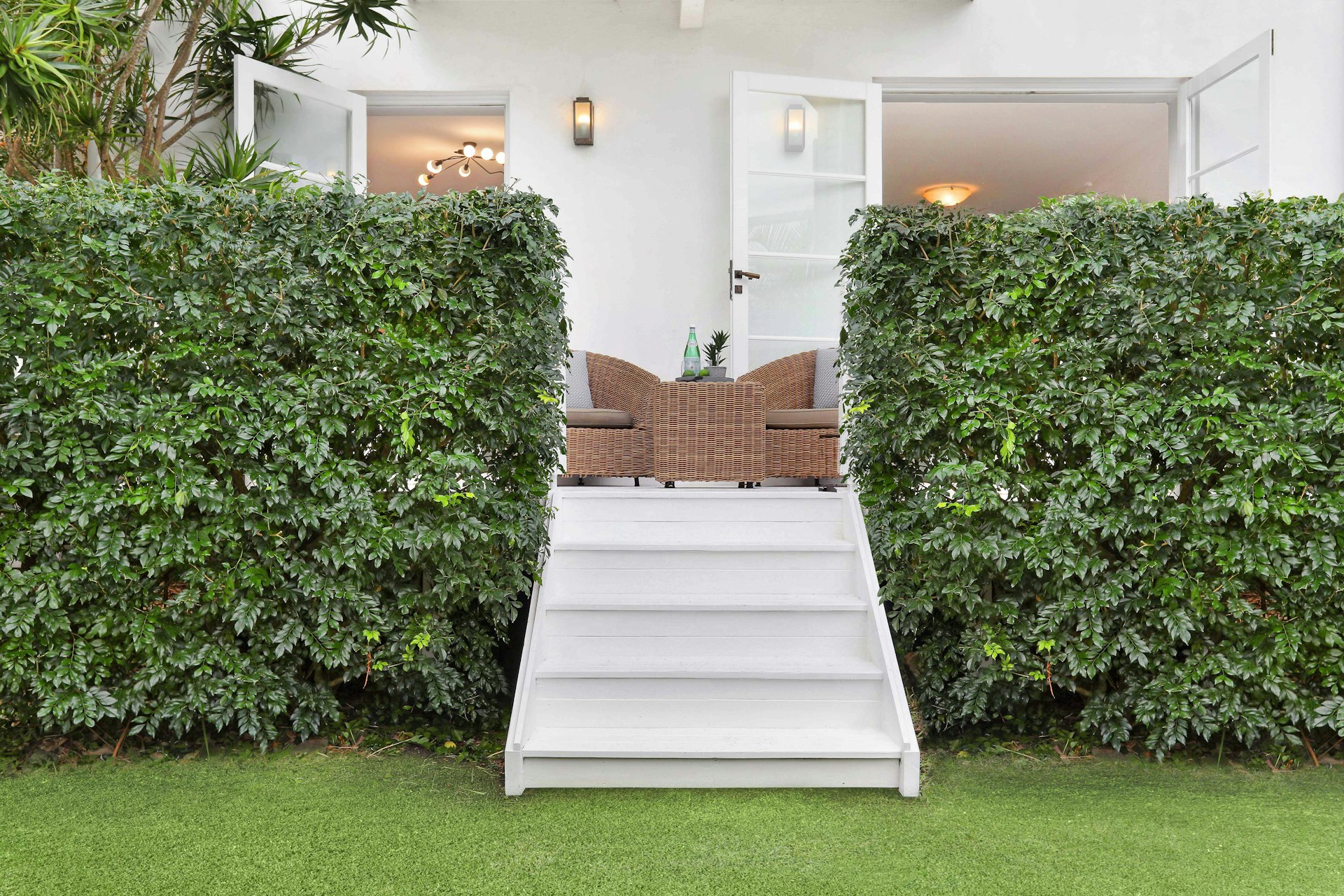 hedge