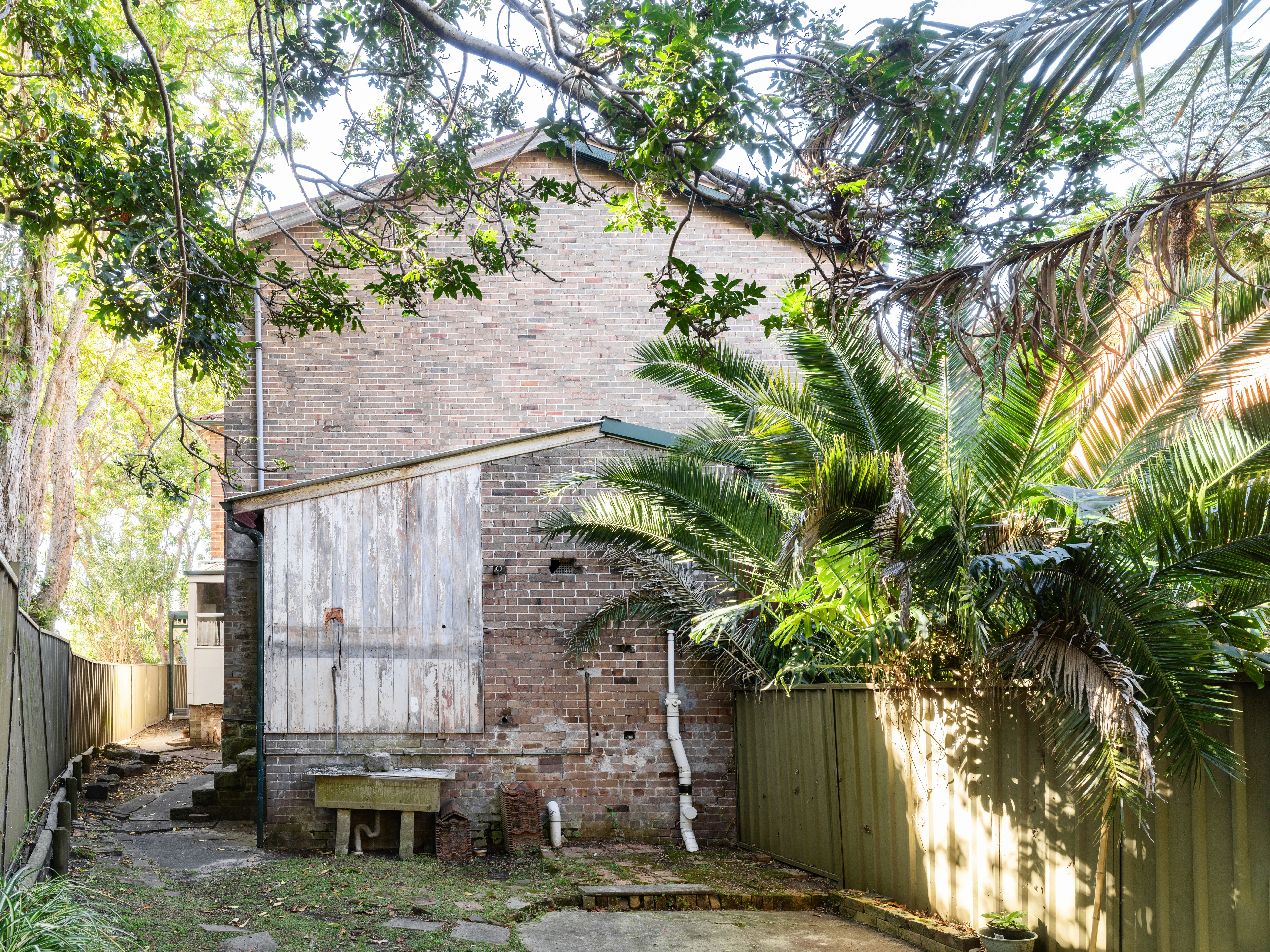 Image of backyard