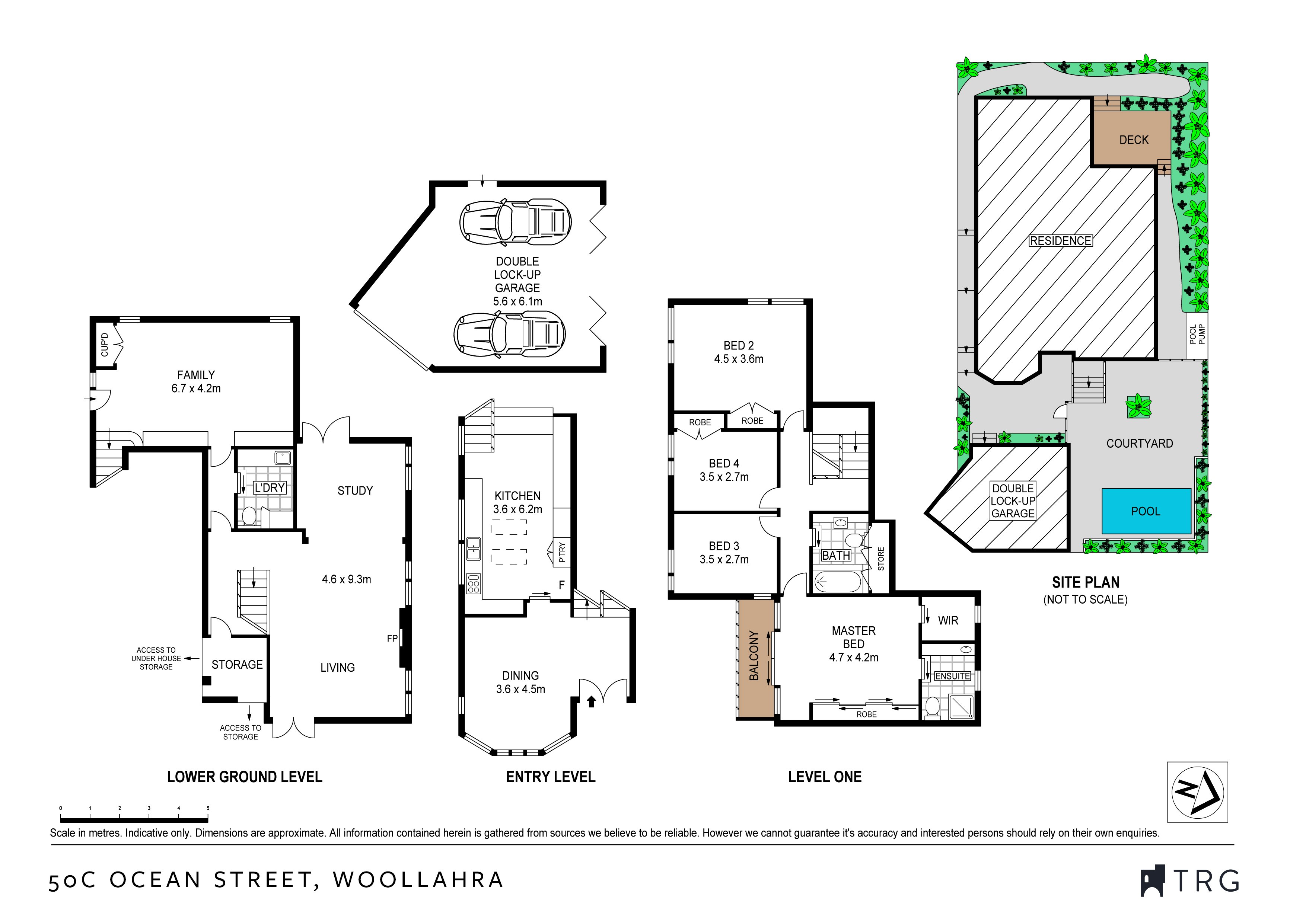 50C Ocean Street, Woollahra NSW