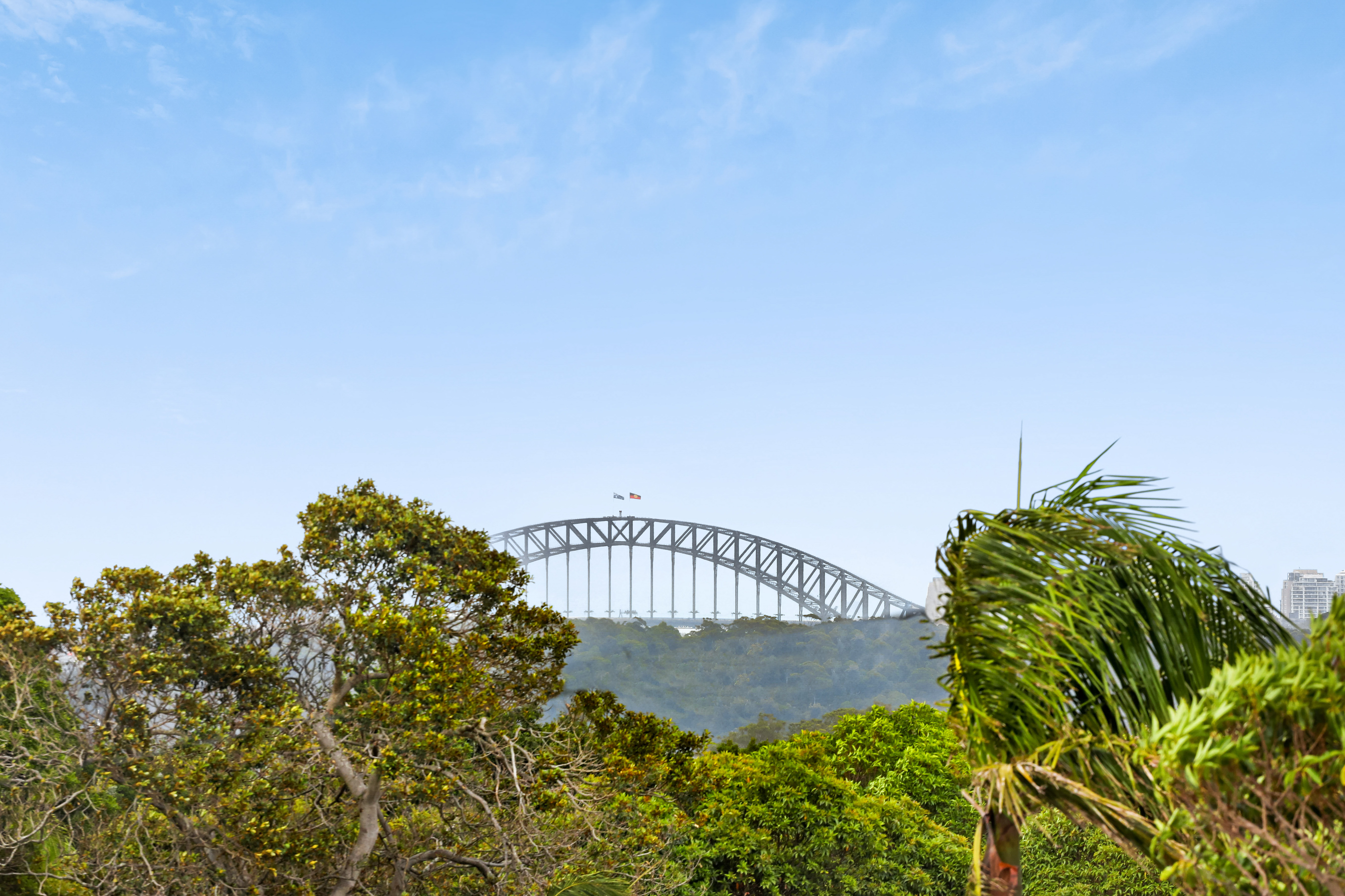 17 Davies Avenue, Vaucluse - Thumbnail 6