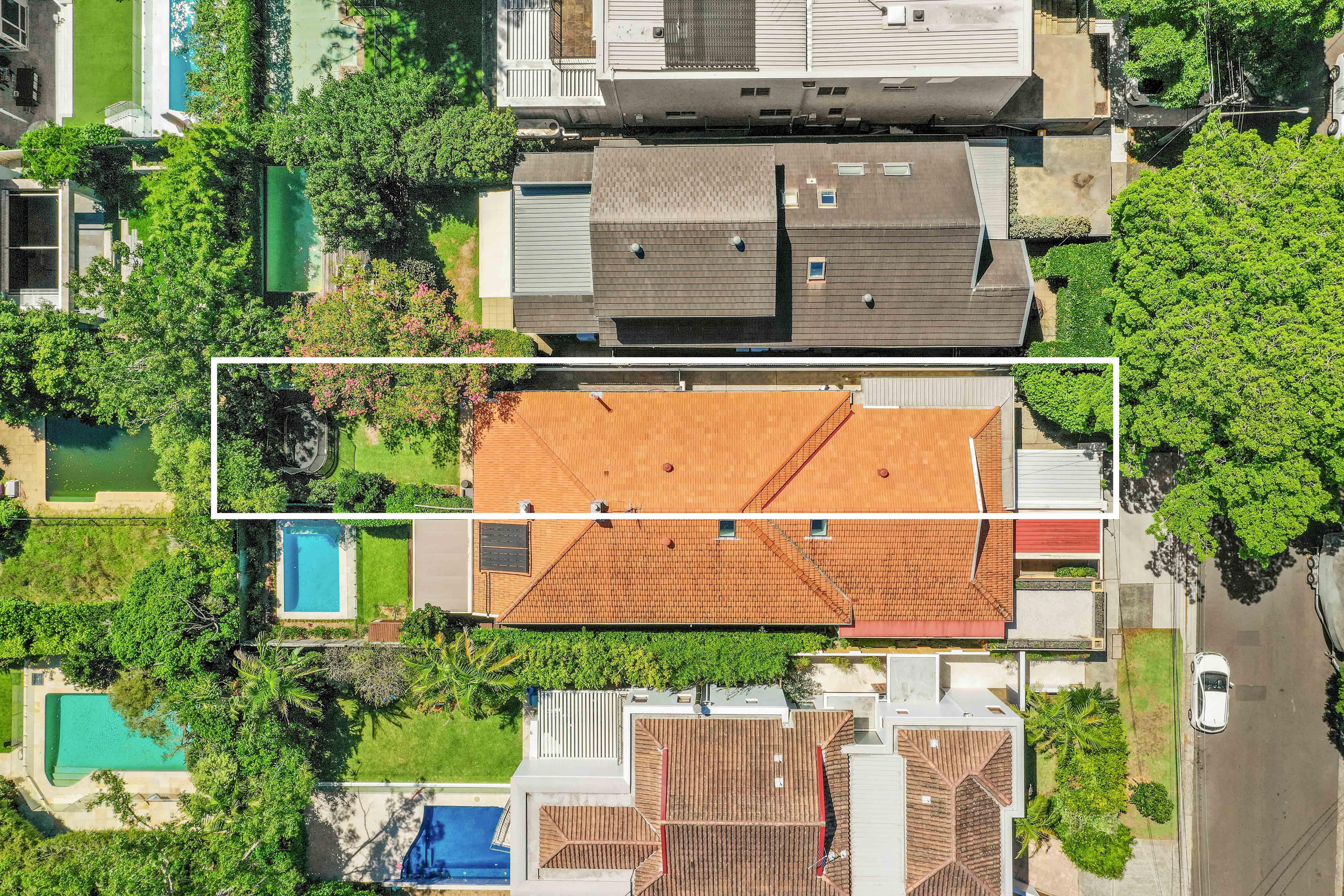 12 Rosslyn Street, Bellevue Hill - Thumbnail 7