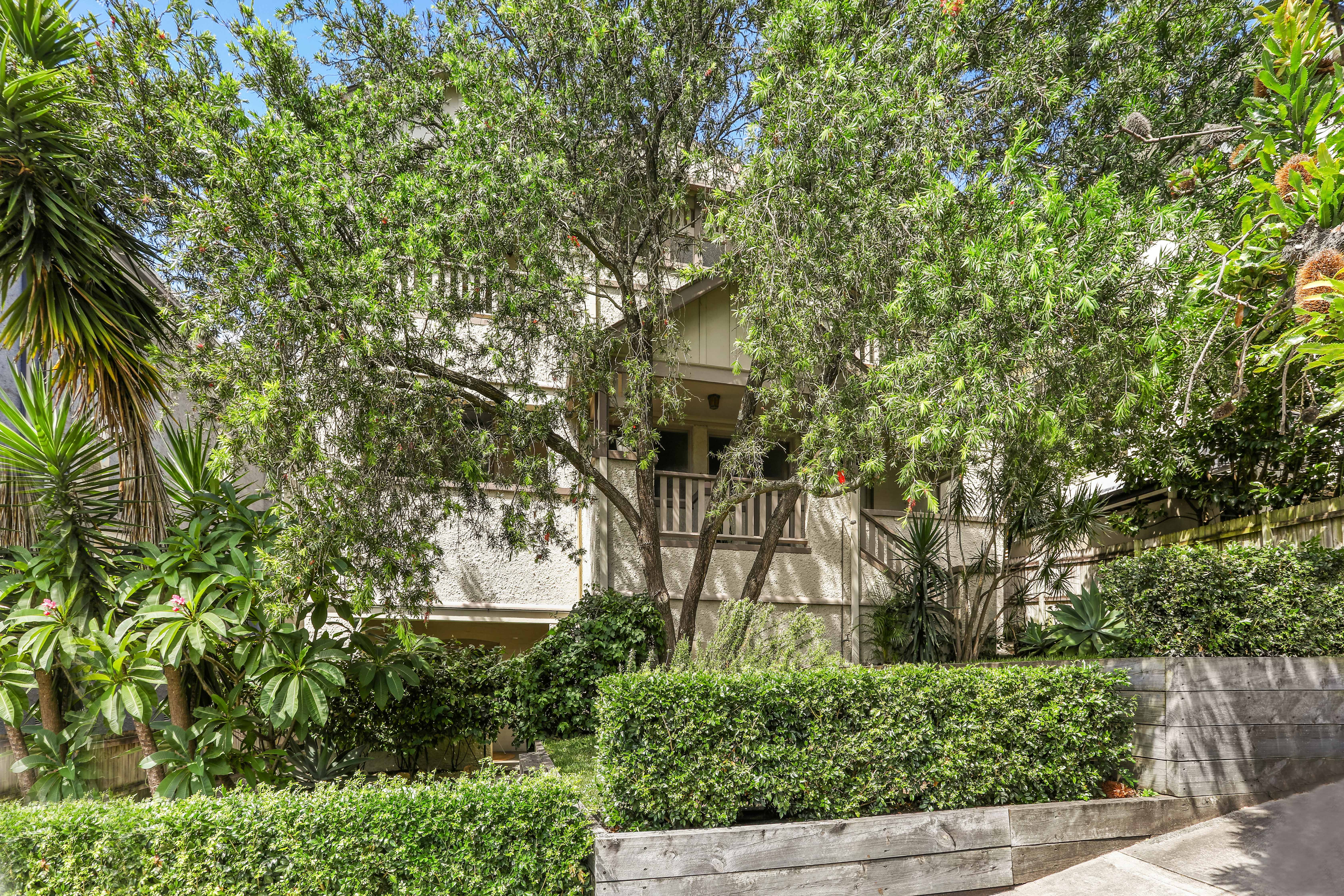 1/19-21 Alexander Street, Coogee - Thumbnail 6
